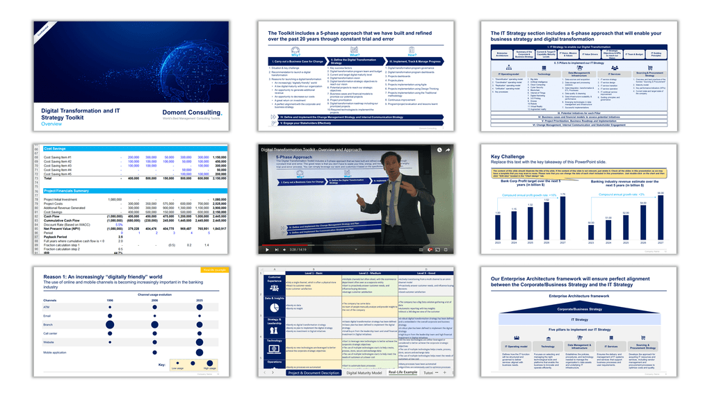 Digital Transformation and IT Strategy Toolkit-Domont Consulting