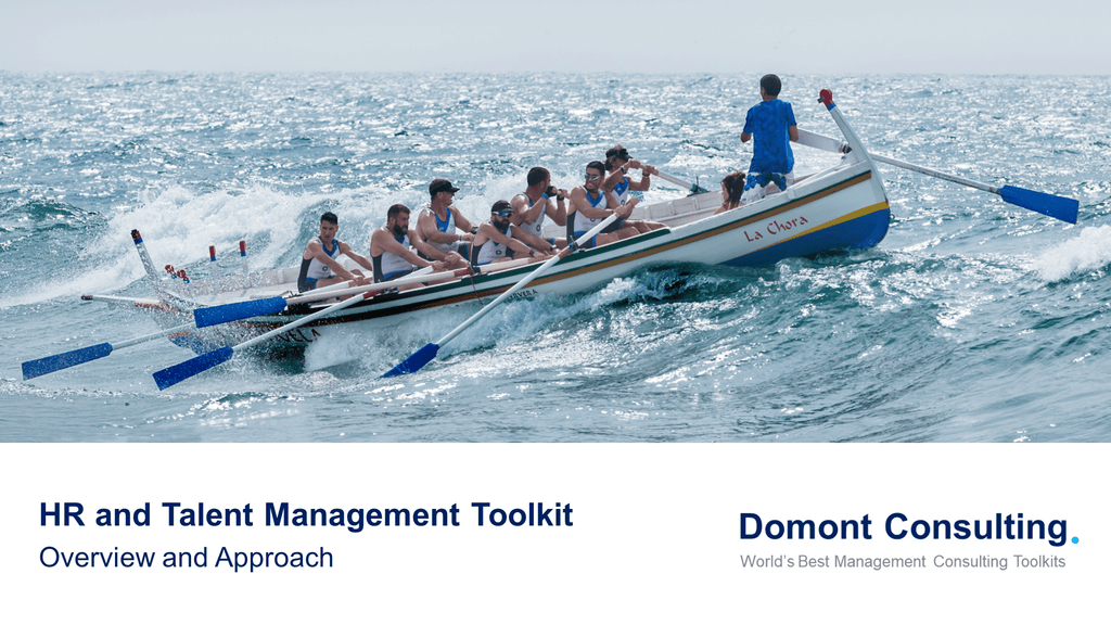 Human Resources & Talent Management Toolkit-Domont Consulting