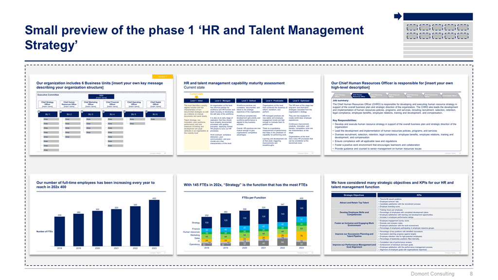 Human Resources & Talent Management Toolkit-Domont Consulting