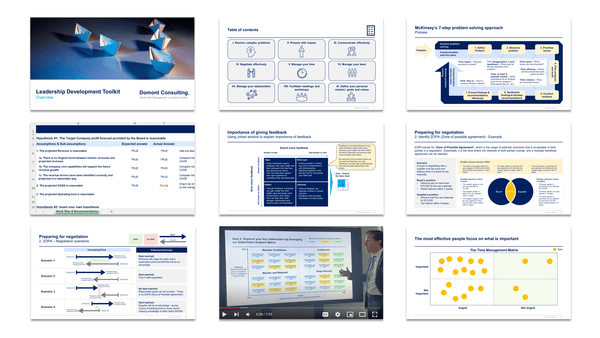 Leadership Development Toolkit-Domont Consulting