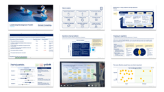 Leadership Development Toolkit-Domont Consulting