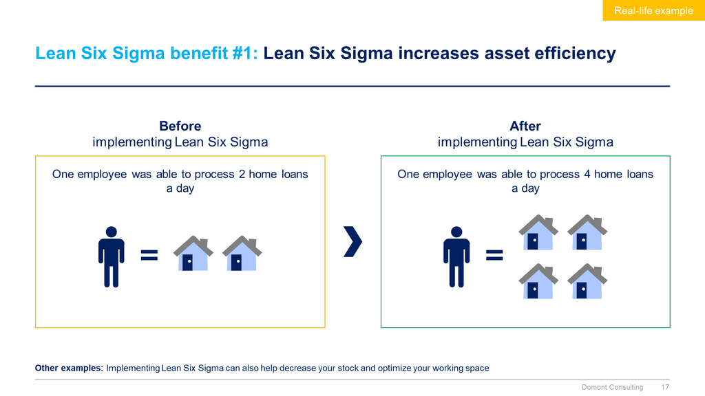 Lean 6 Sigma Toolkit-Domont Consulting