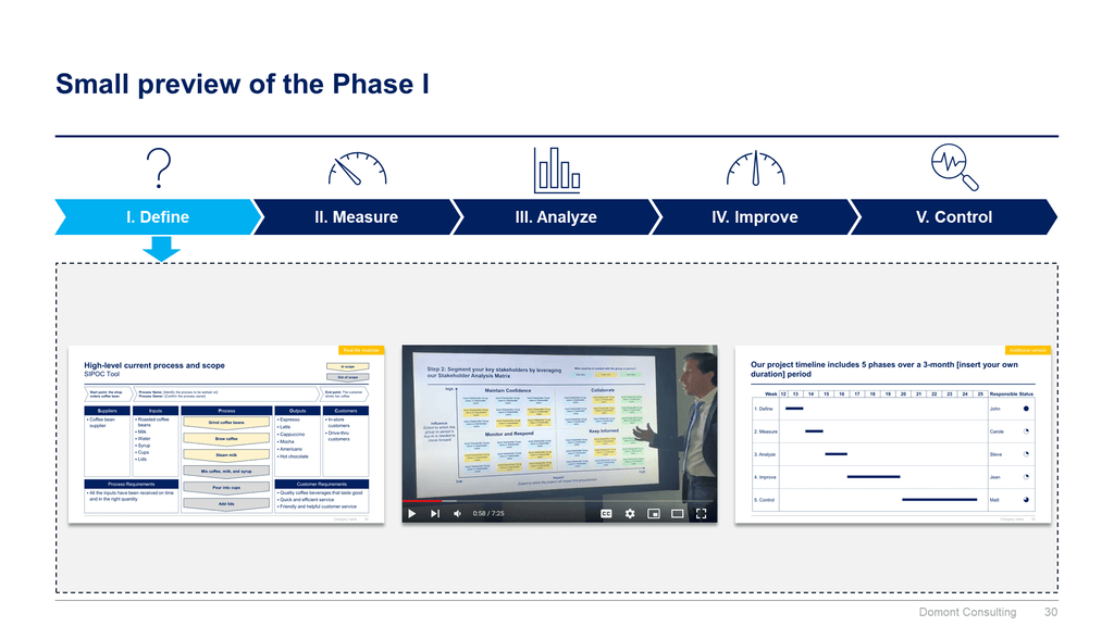 Lean 6 Sigma Toolkit-Domont Consulting