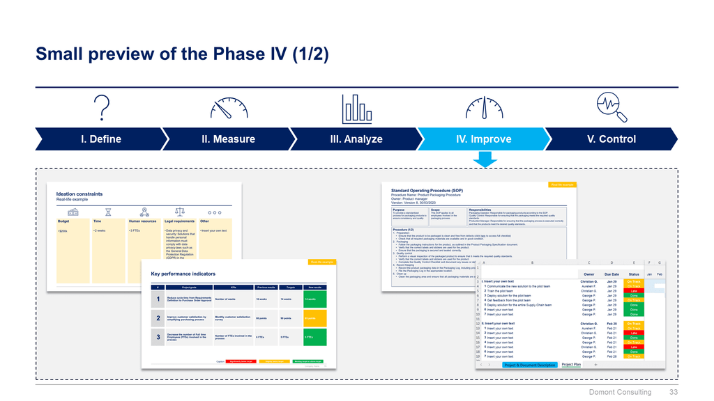 Lean 6 Sigma Toolkit-Domont Consulting