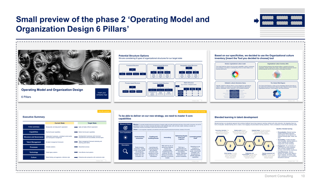 Operating Model and Organization Design Toolkit-Domont Consulting