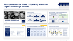 Operating Model and Organization Design Toolkit-Domont Consulting