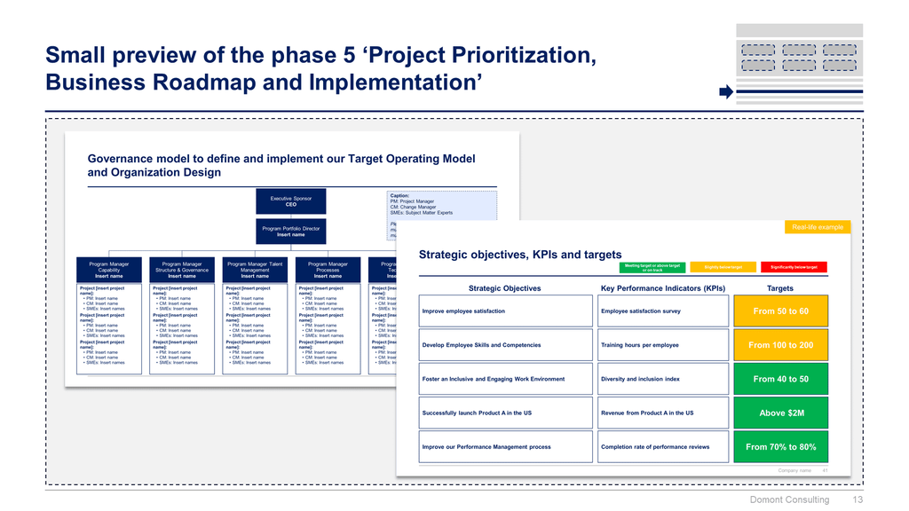 Operating Model and Organization Design Toolkit-Domont Consulting