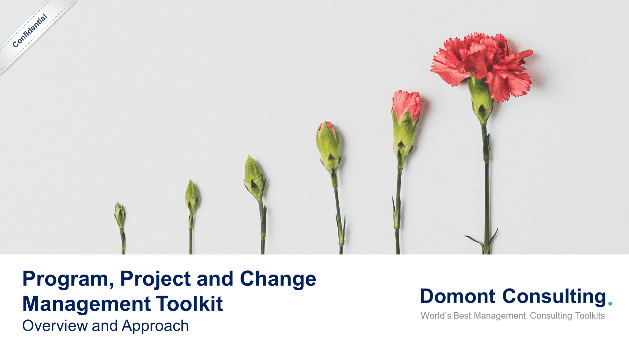 Program, Project and Change Management Toolkit | By ex-McKinsey