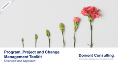 Program, Project and Change Management Toolkit-Domont Consulting