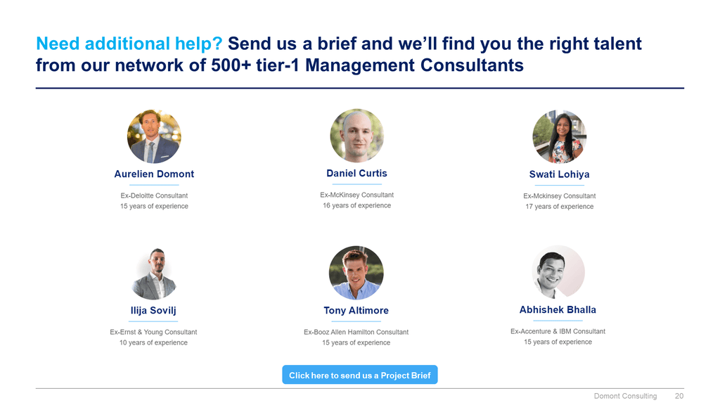 Program, Project and Change Management Toolkit-Domont Consulting