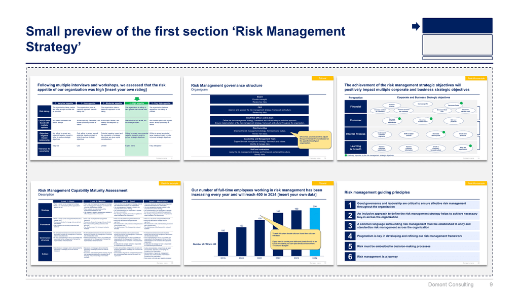 Risk Management Toolkit-Domont Consulting