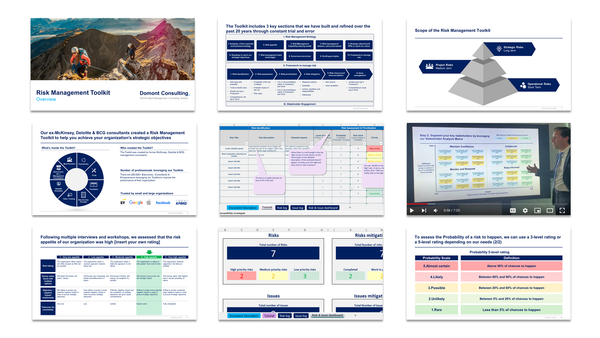 Risk Management Toolkit-Domont Consulting