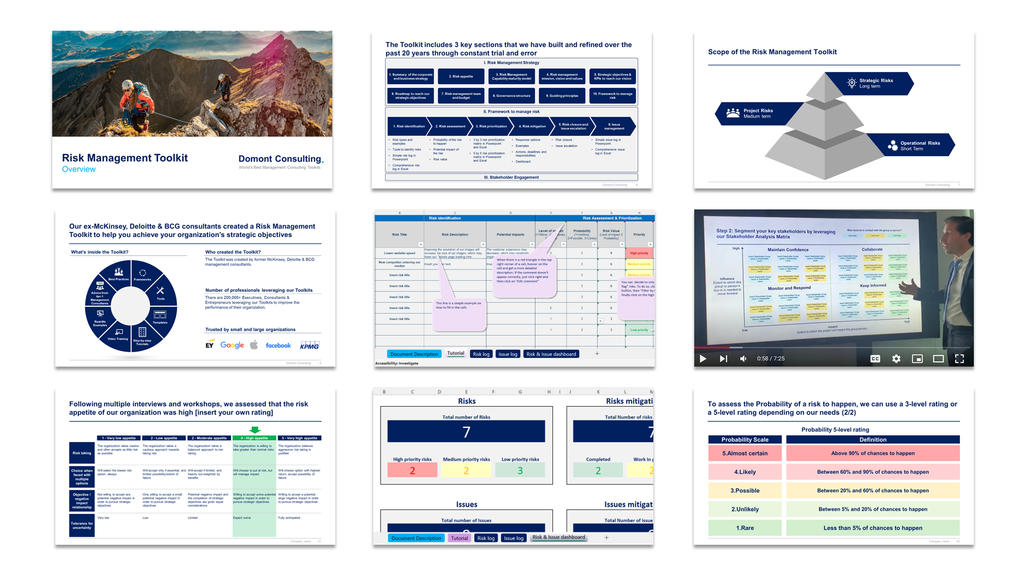 Risk Management Toolkit-Domont Consulting